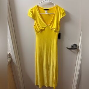 Caution To The Wind NWT Slight Damage Maxi Dress